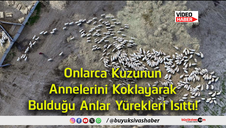 ısıt