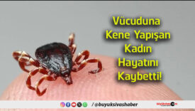 kada