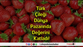 katladı