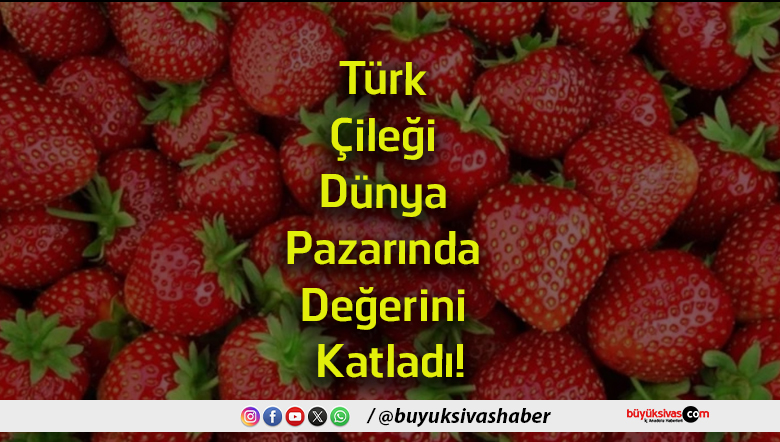 katladı