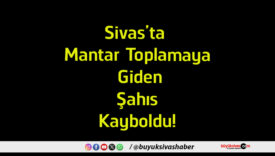 kayboldu