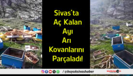 kovanlarını