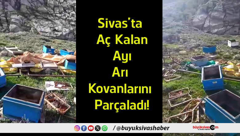 kovanlarını