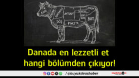 lezzetli