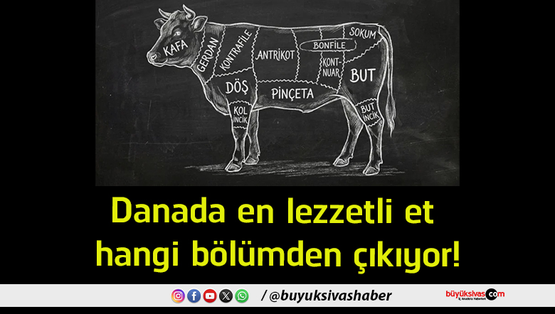 lezzetli