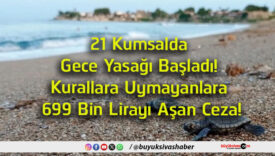 lirayı