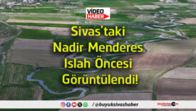 mende