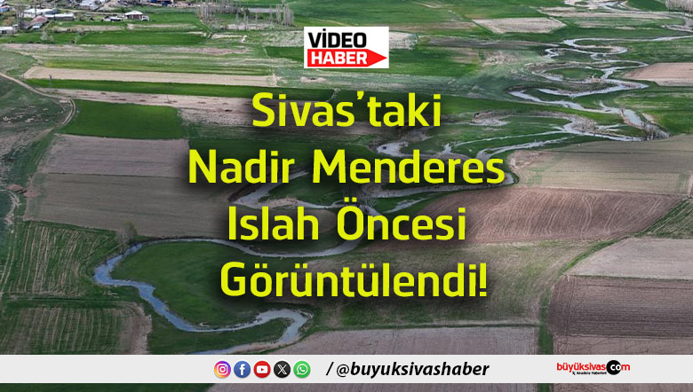 mende
