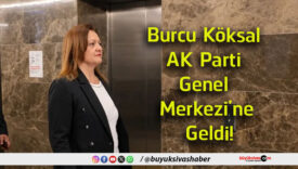 mers
