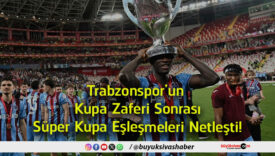 netleş