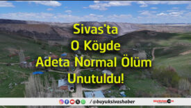 nuta