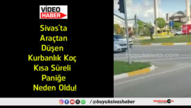 paniğe