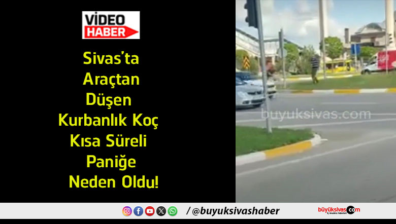 paniğe