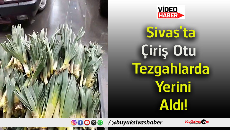 rişa