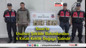 salındı
