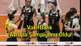şampiy