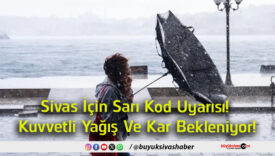 sarıs