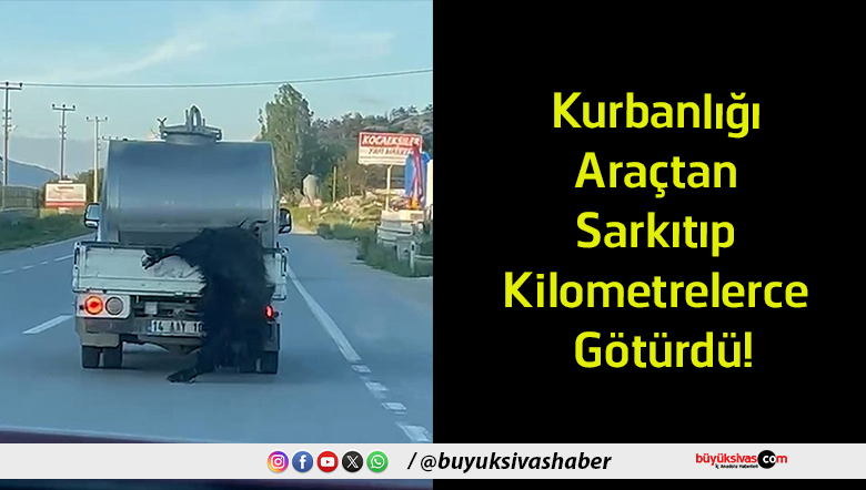 sarkıtıp