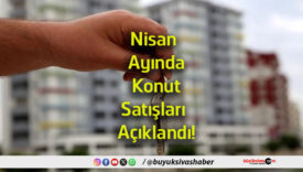 sataas