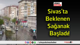 saw