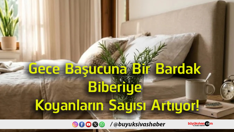 sayısı