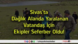 seferber