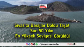 sevi