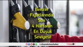 seviyesi
