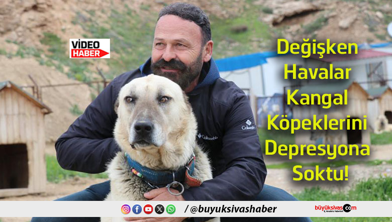 sokas