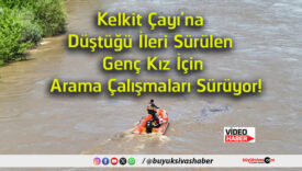 sürüye
