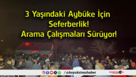 sürüyor