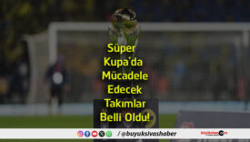 takımlars