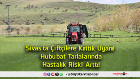 talıksa
