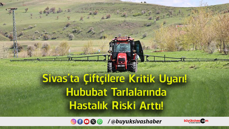 talıksa