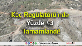 tamams