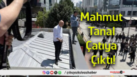 tanal