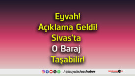 taşabilir