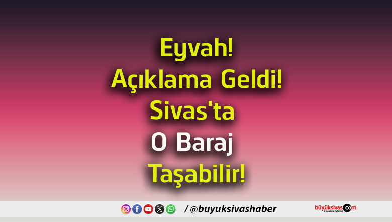 taşabilir