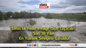 taşacaks