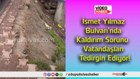 tedir