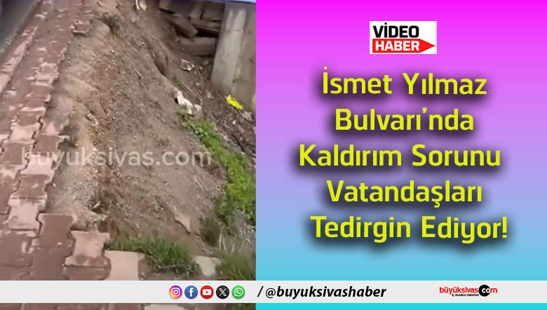 tedir