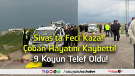 telef