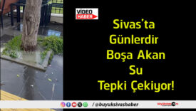 tepki
