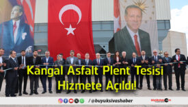 tesisi