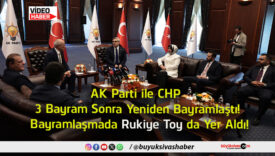 toy