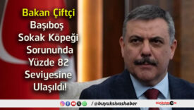 ulaş
