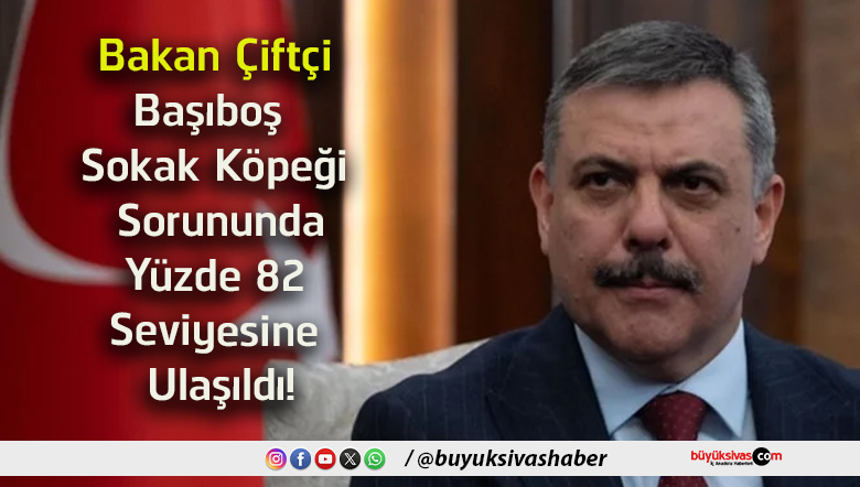 ulaş