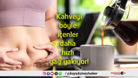 yağa