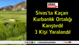 yaralan