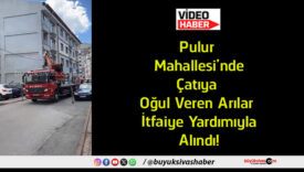 yardımıyla
